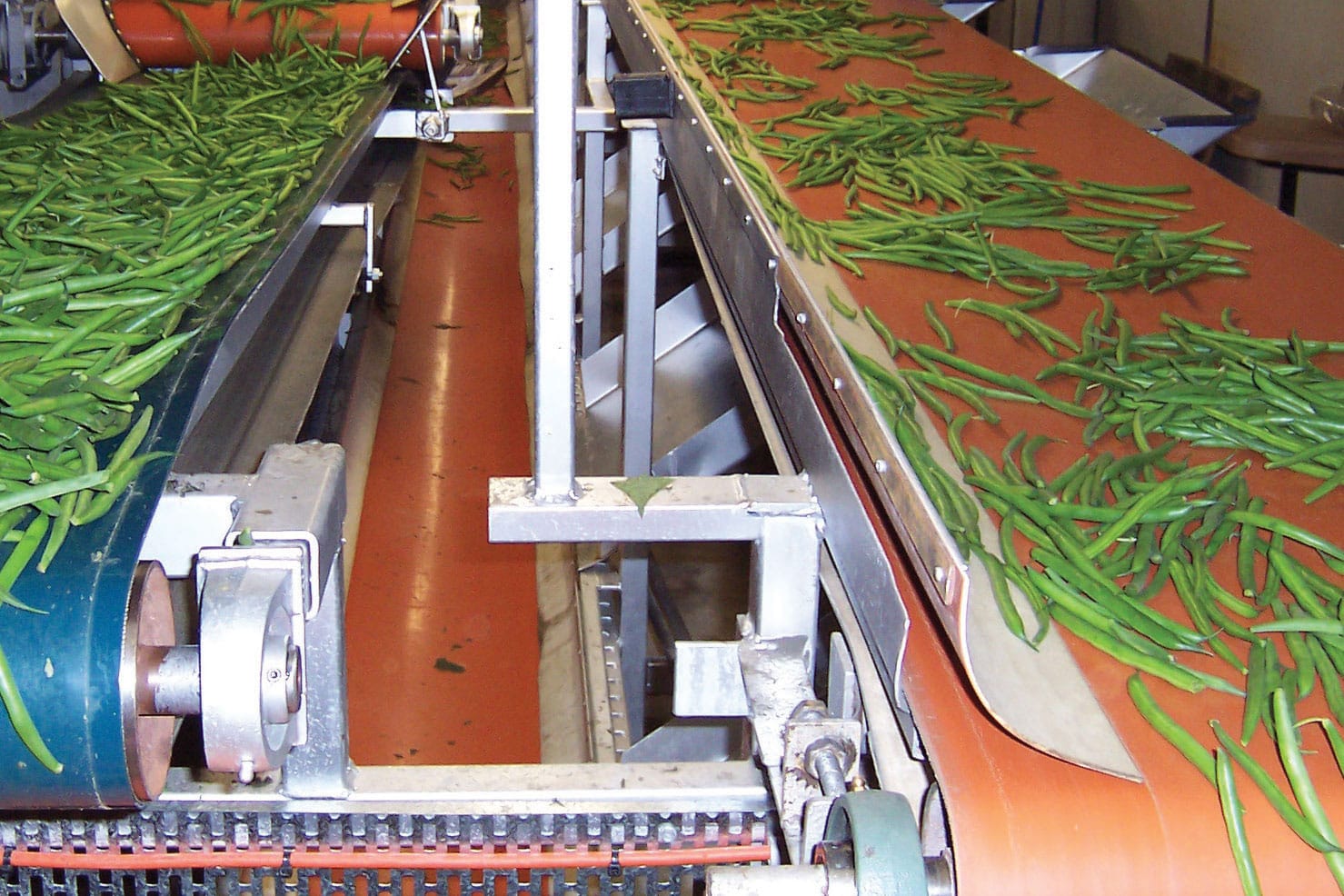 Conveyer Belt Conveyer Belt