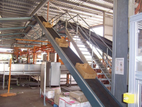 Empty carton elevator with PVC Green LG belt