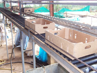 Straight gravity conveyor Straight gravity conveyor