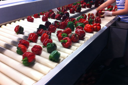 Inspection Rollers Inspection Rollers