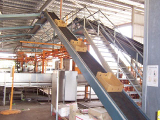 PVC LG empty carton elevator belt