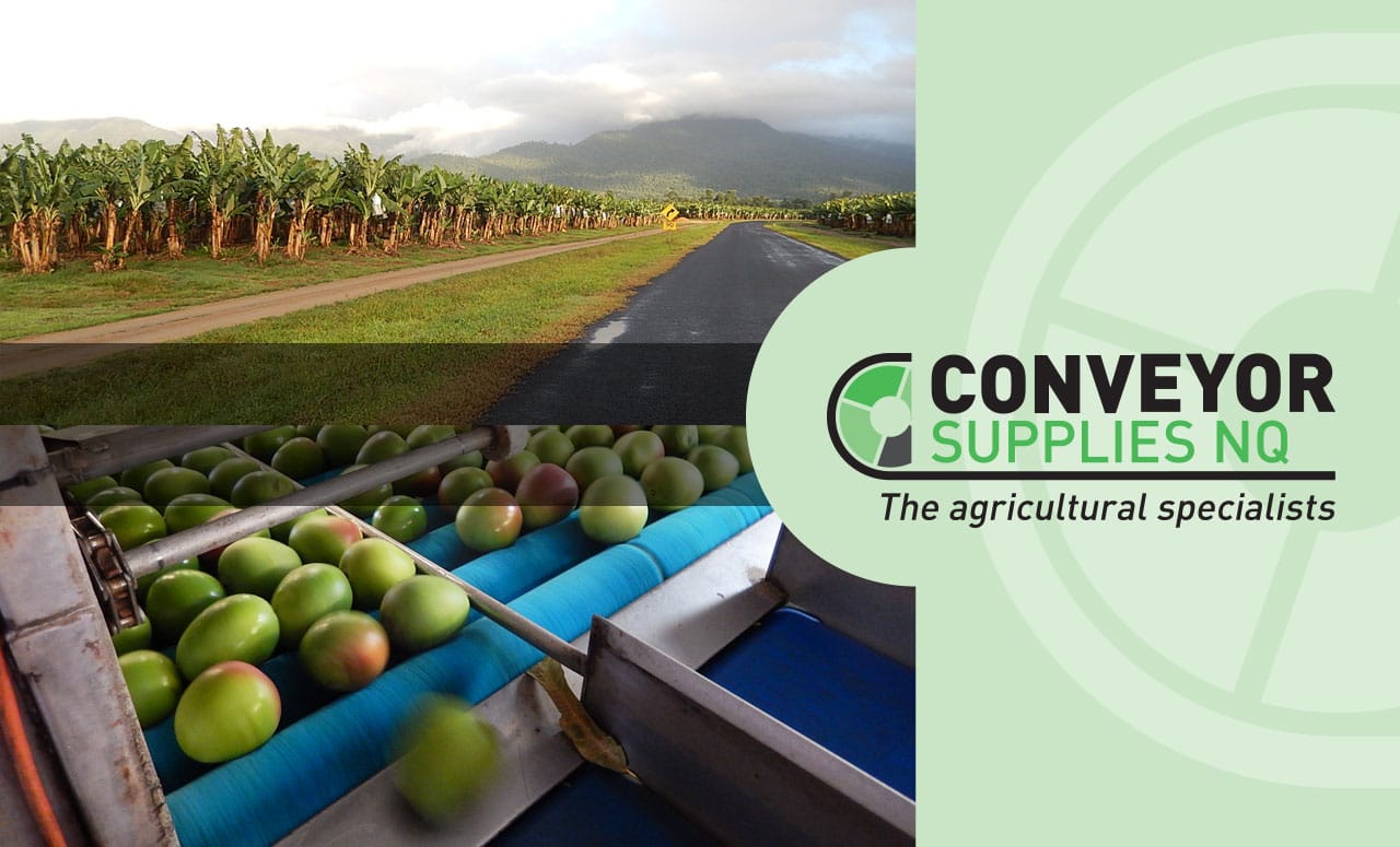 Conveyor Supplies NQ