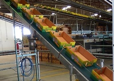 Empty carton elevator belt