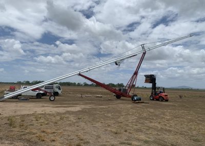 Grain elevator belt